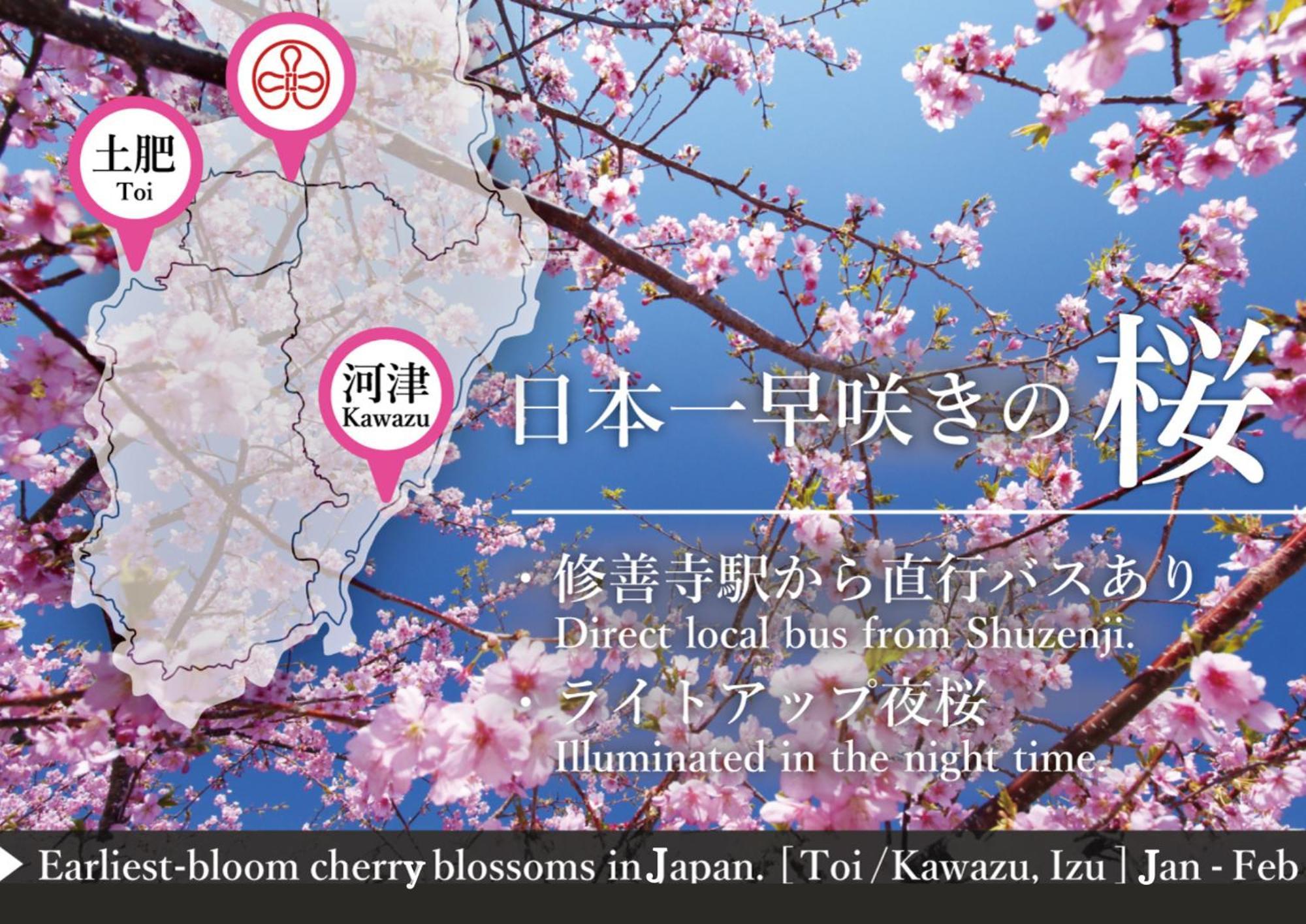 Hostel Knot Izu  Bagian luar foto